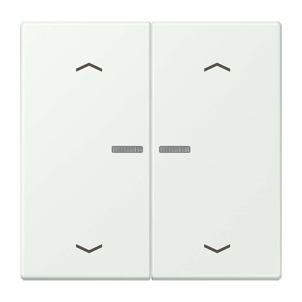 Jung JUNG HOME Taster BTLC17102P210