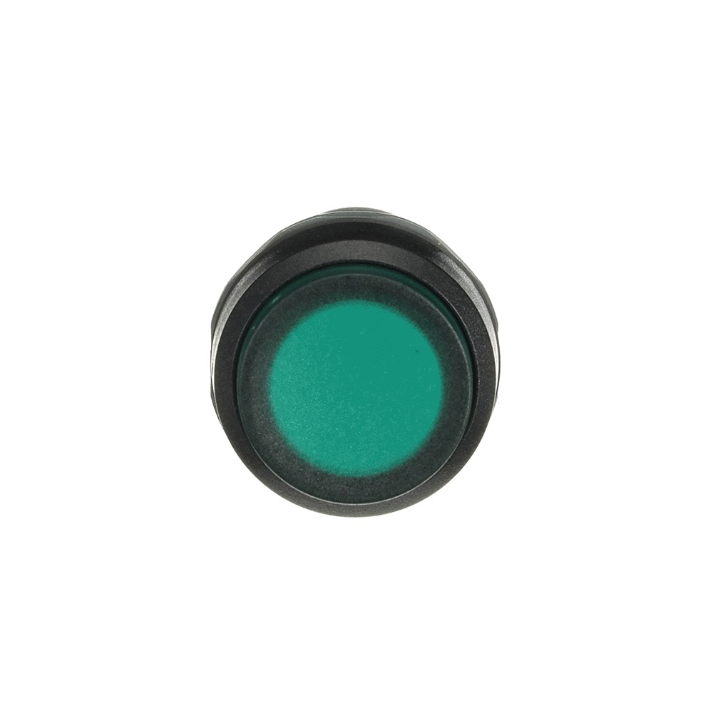 ABB Leuchtdrucktaster 1SFA619103R1212 Typ CP4-12G-10