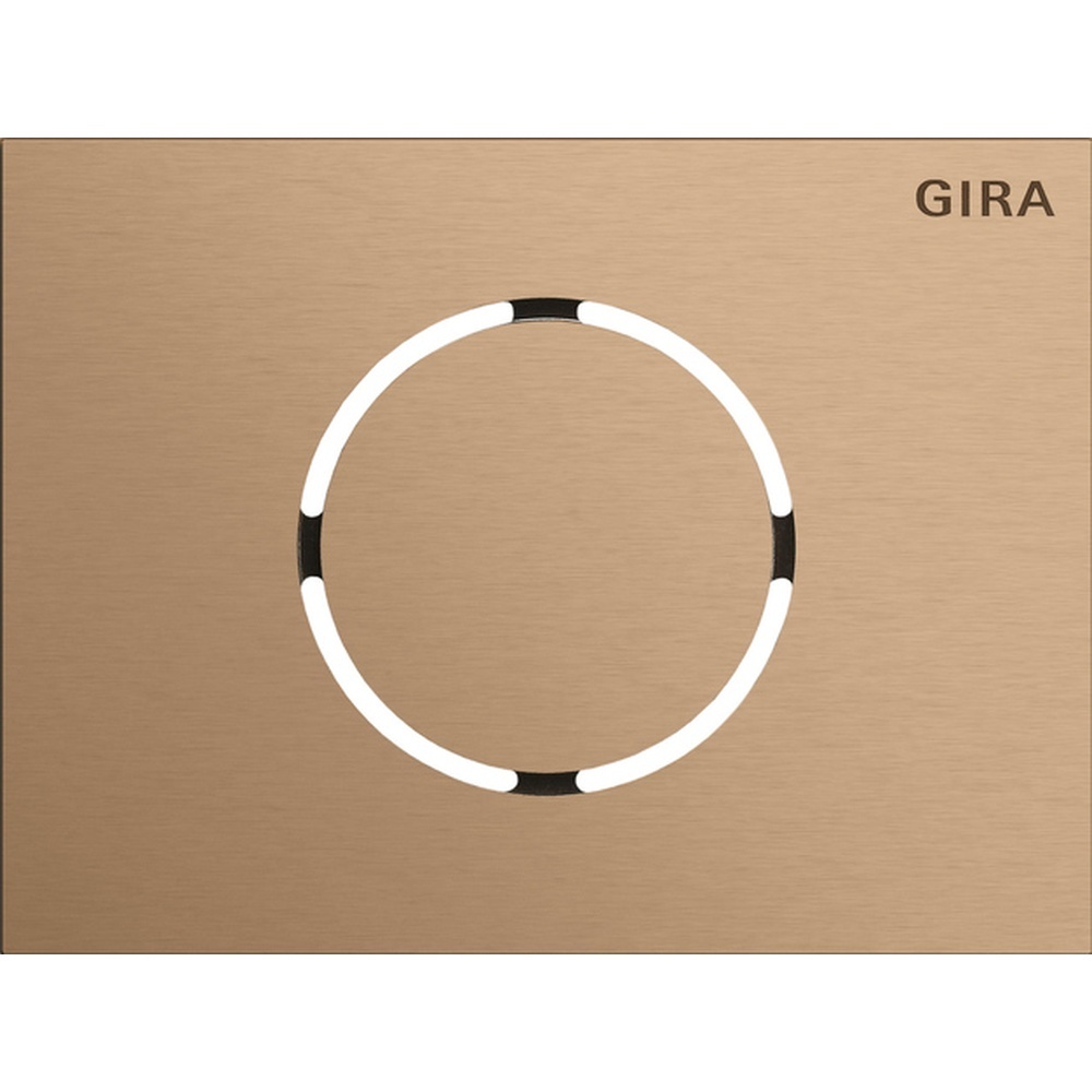 Gira Frontplatte 5579921