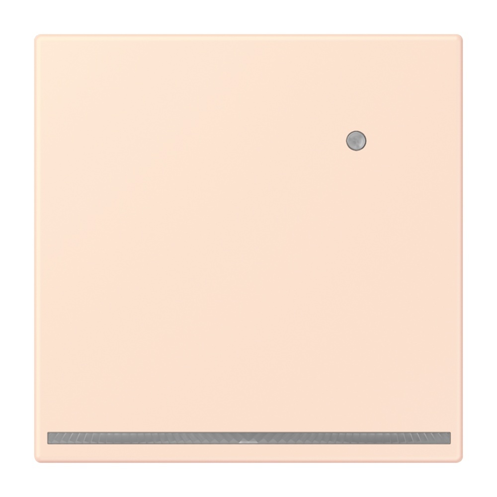 Jung LED Orientierungslicht LC1539-OLNW226