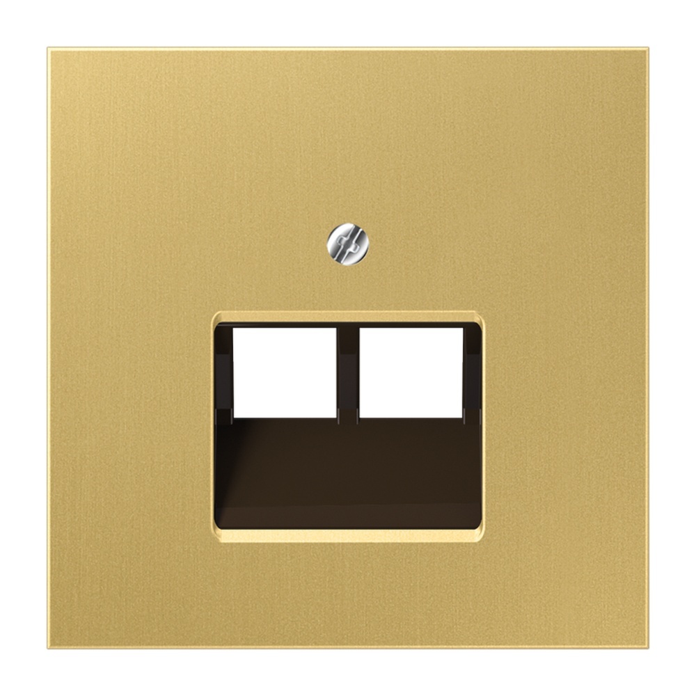 Jung Abdeckung IAE/UAE ME 2969-2 UA C
