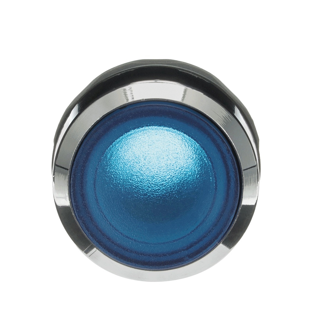 ABB Frontelement für Drucktaster 1SFA611101R3104 Typ MP2-31L