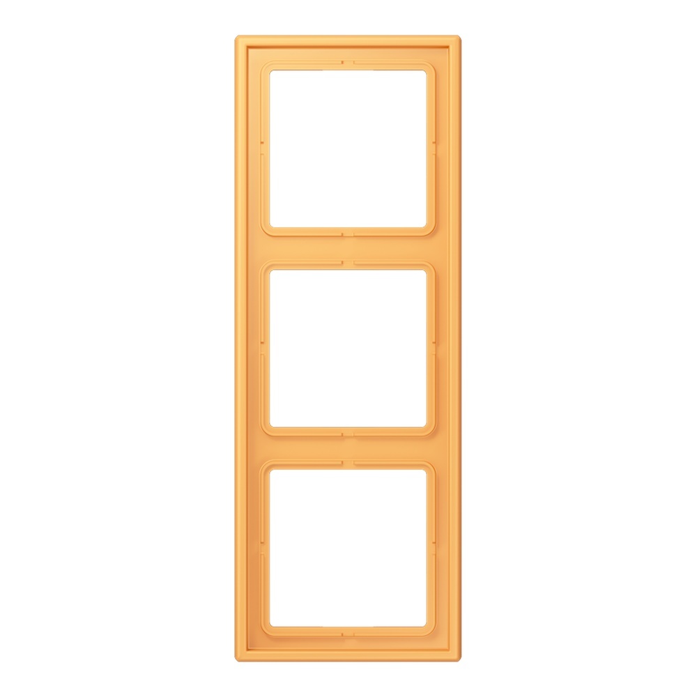 Jung Rahmen LC983254