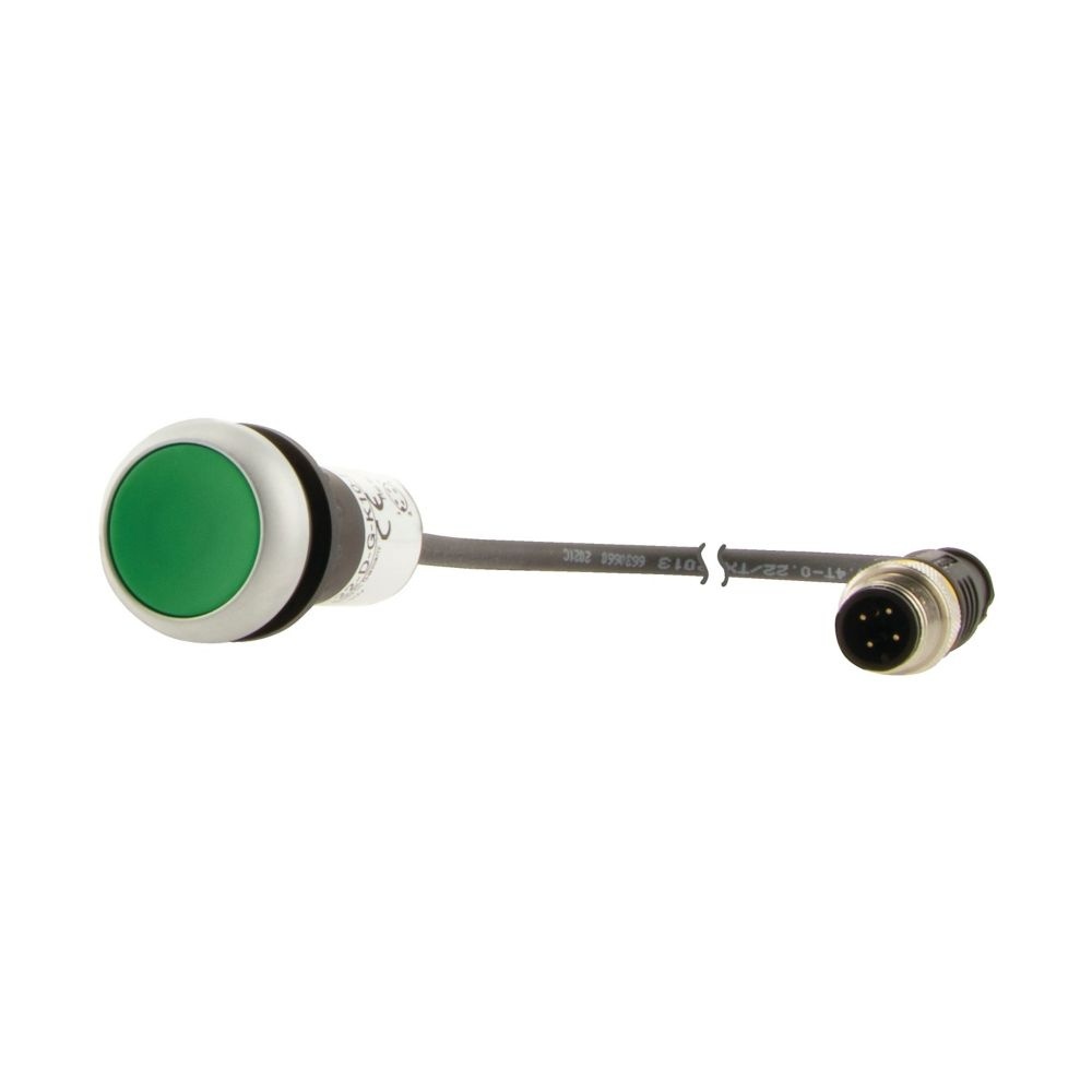 Eaton Drucktaste 181610 Typ C22-DR-G-K10-P3