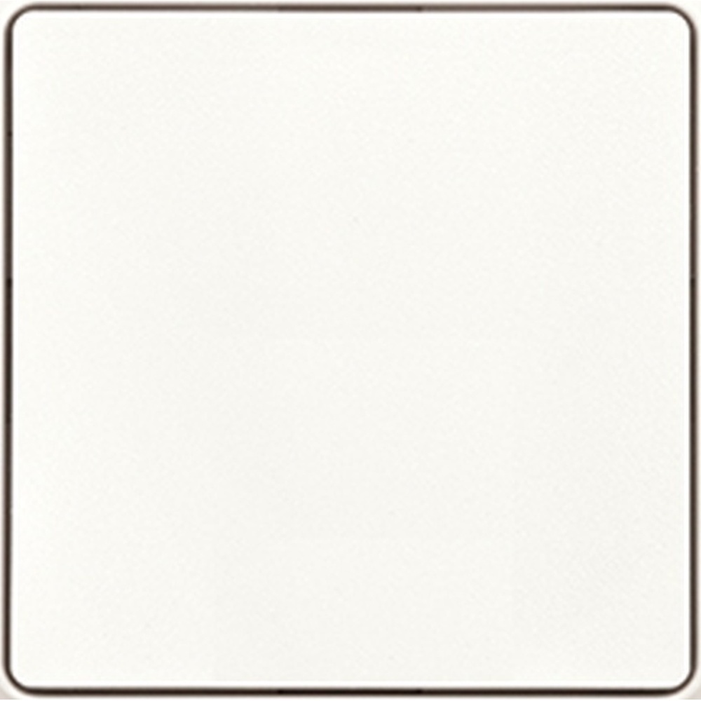 ELTAKO Wippschalter 30055739 Typ WS55E-pm