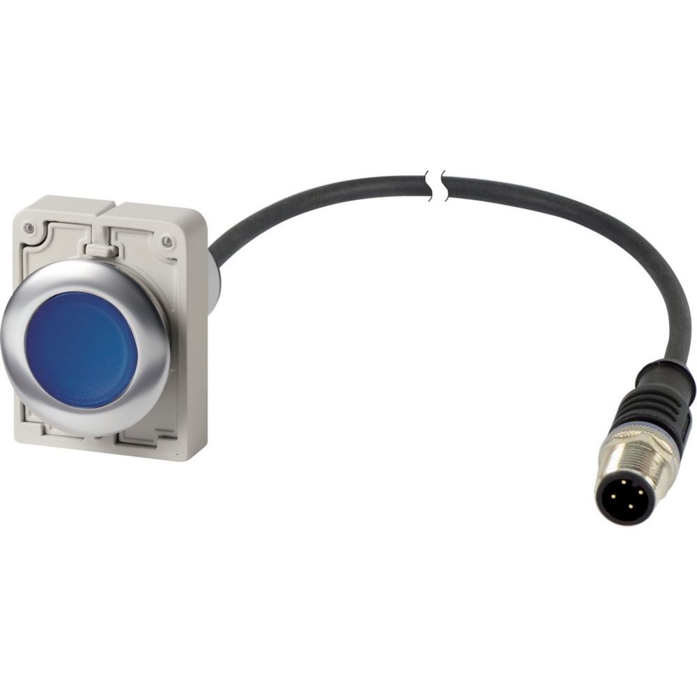 Eaton Leuchtdrucktaste 186010 Typ C30C-FDRL-B-K10-24-P5