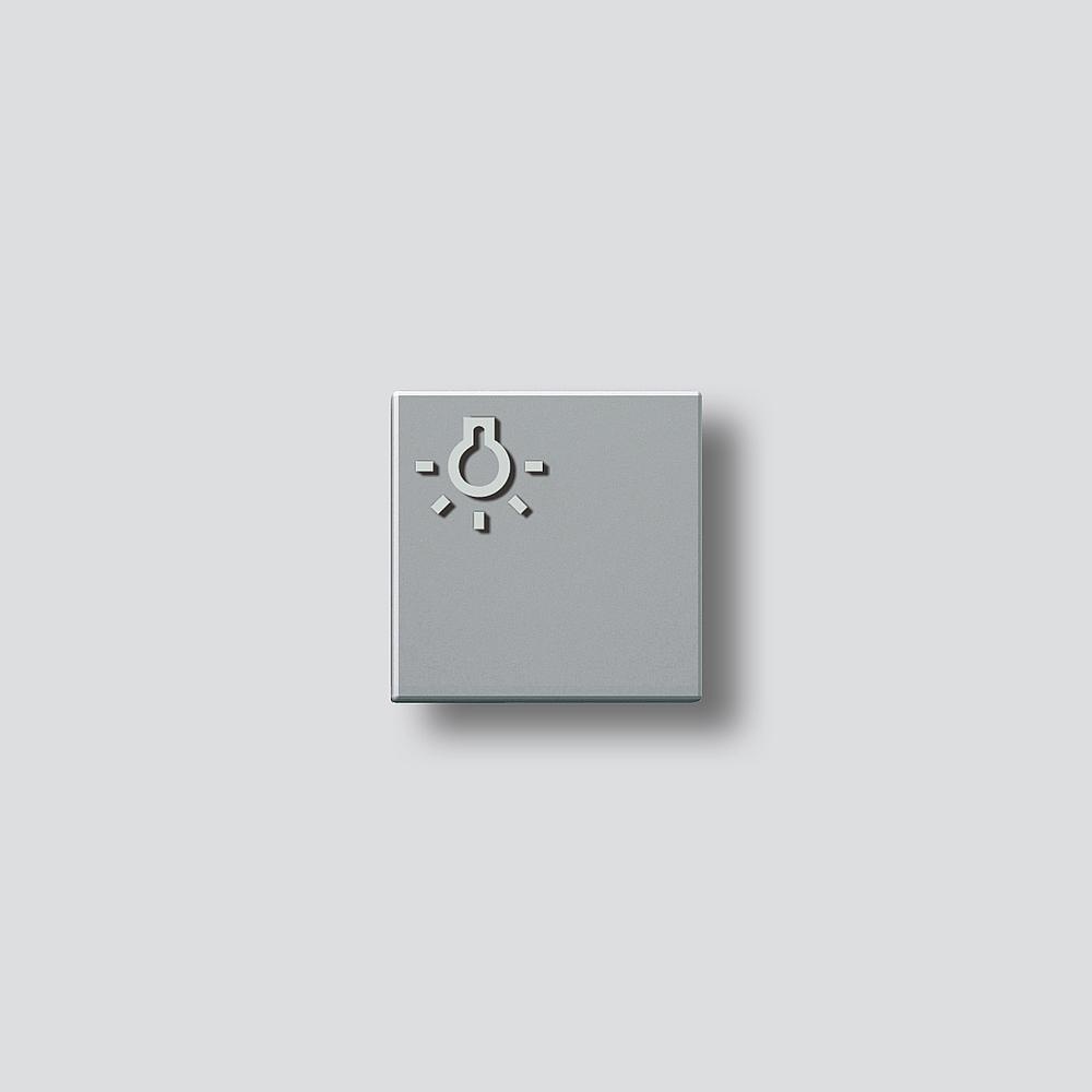 Siedle Lichttaste 200029098-00 Typ TLM 611/612-01SM