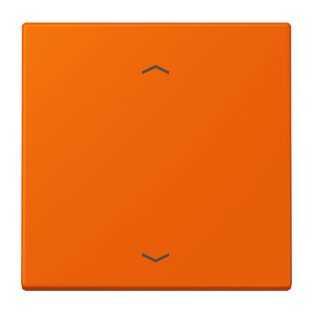 Jung Management Taster 1fach LC1700P224