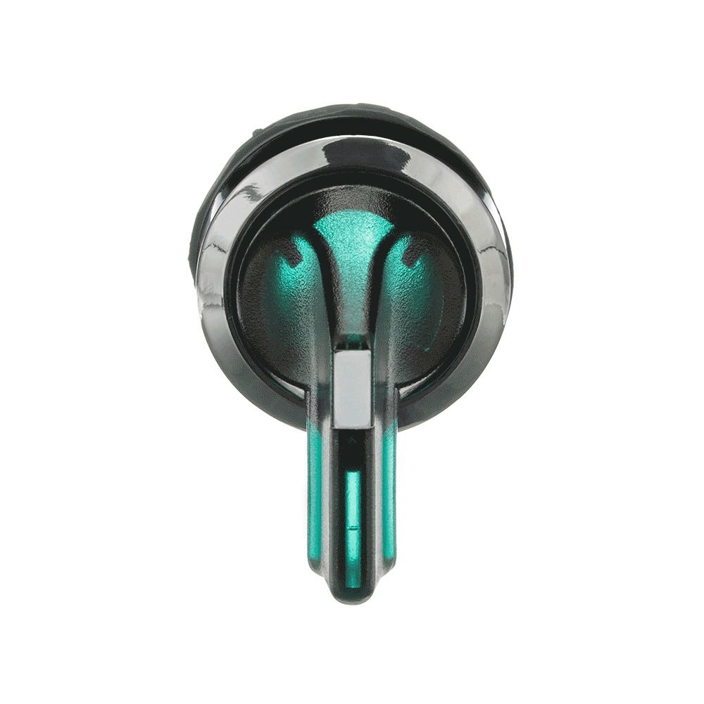 ABB Frontelement für Wahlschalter 1SFA611204R3102 Typ M2SS5-31G