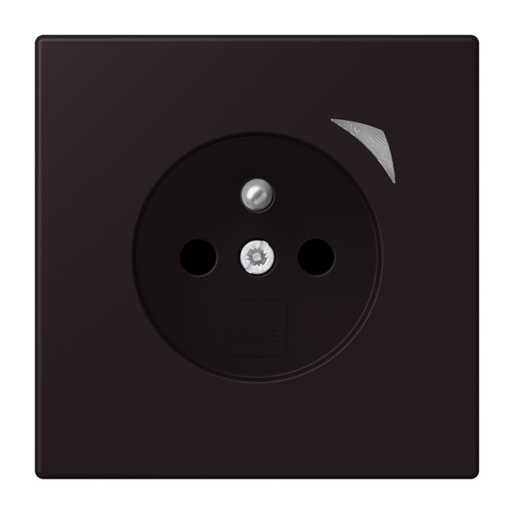 Jung Steckdose BTLC1521FS248