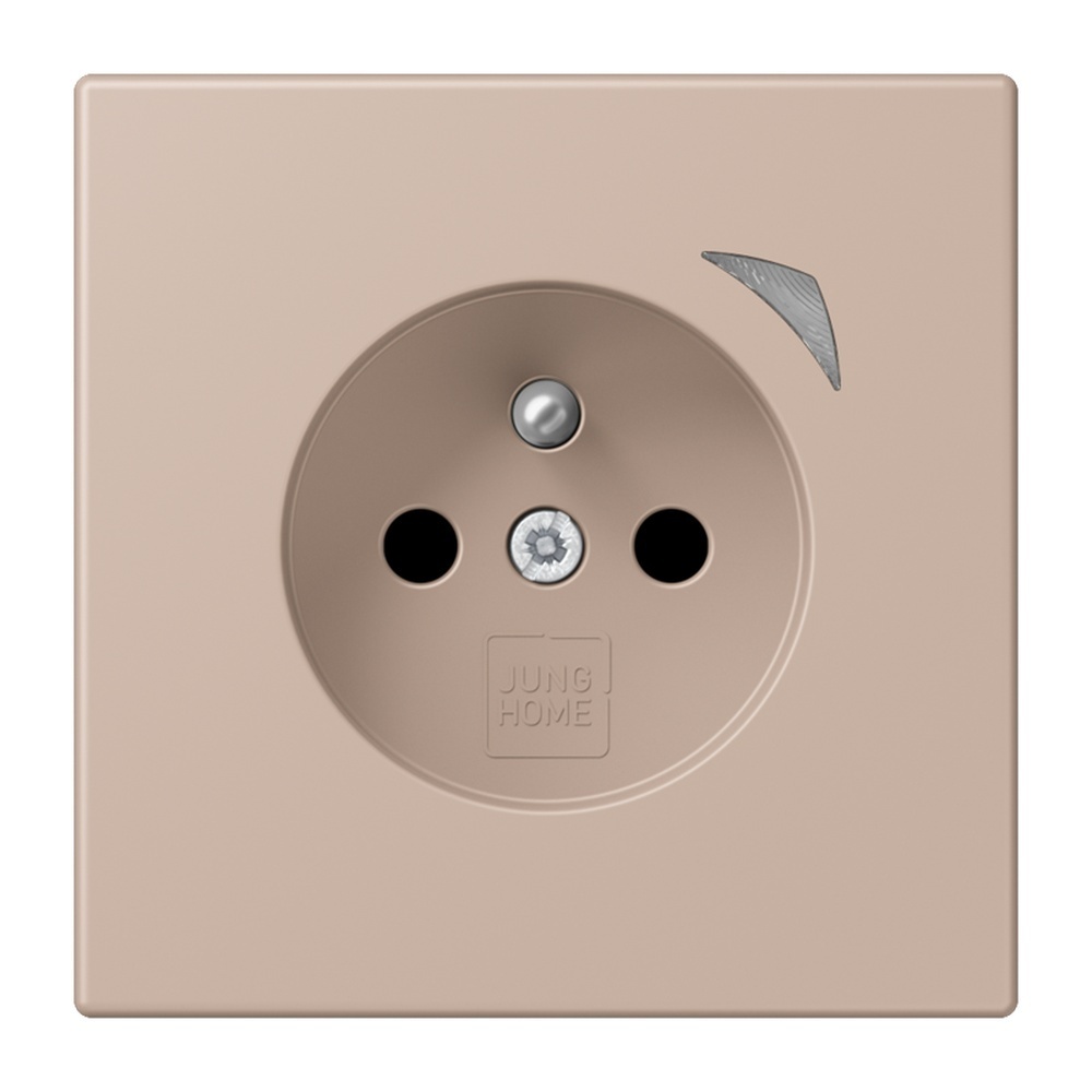 Jung Steckdose BTLC1521FSE240