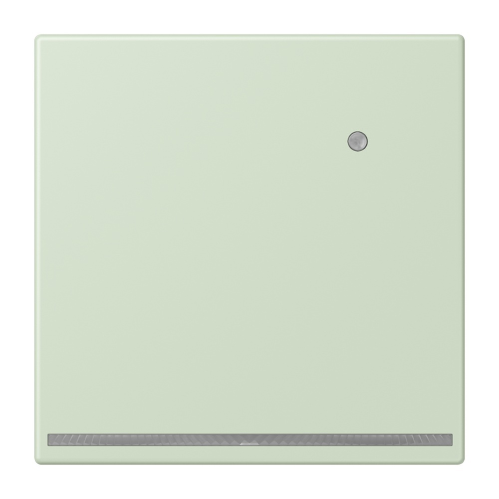 Jung LED Orientierungslicht LC1539-OLNW218