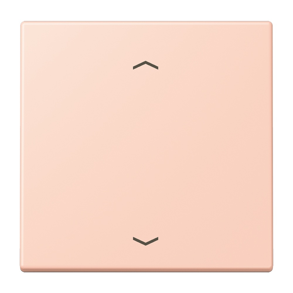 Jung Management Taster 1fach LC1700P234