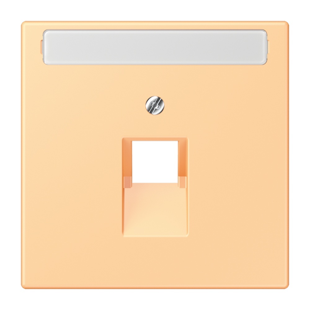 Jung Abdeckung LC969-1NAUA258