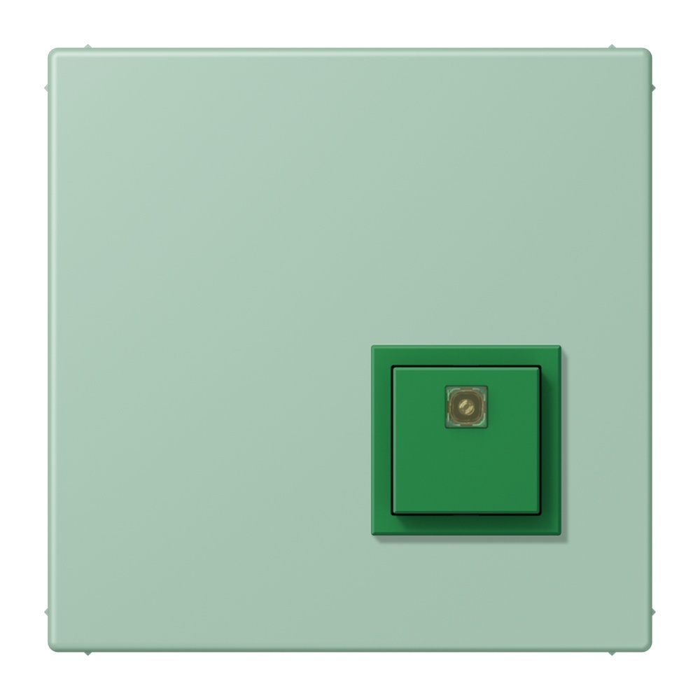 Jung Notrufsystem Abstelltaster NRSLC0834AT217