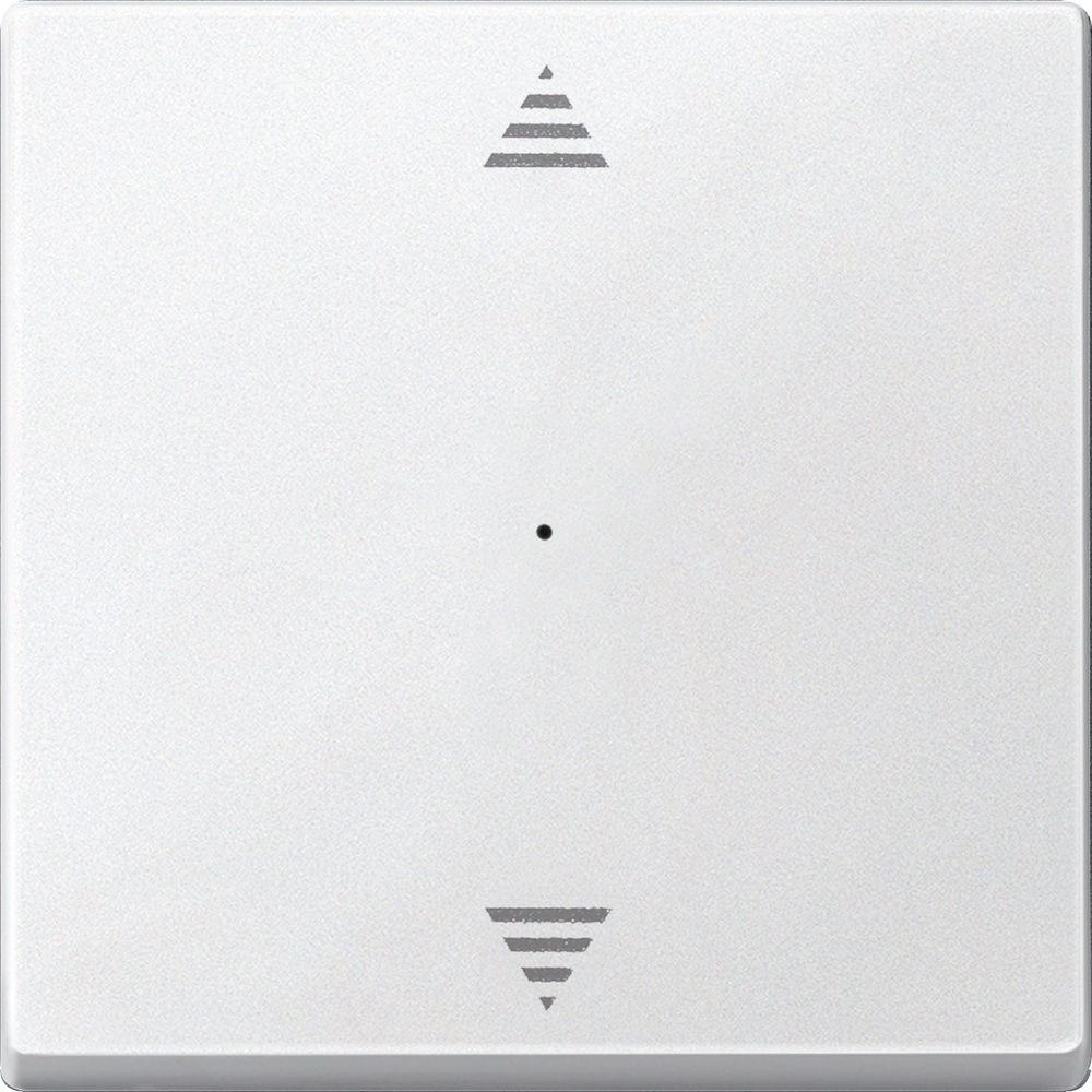 Merten Wippe MEG5215-0419