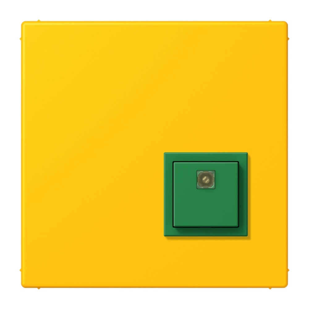 Jung Notrufsystem Abstelltaster NRSLC0834AT263