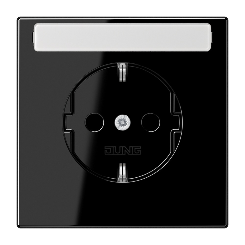 Jung Schutzkontakt Steckdose LS 1520 KINA SW