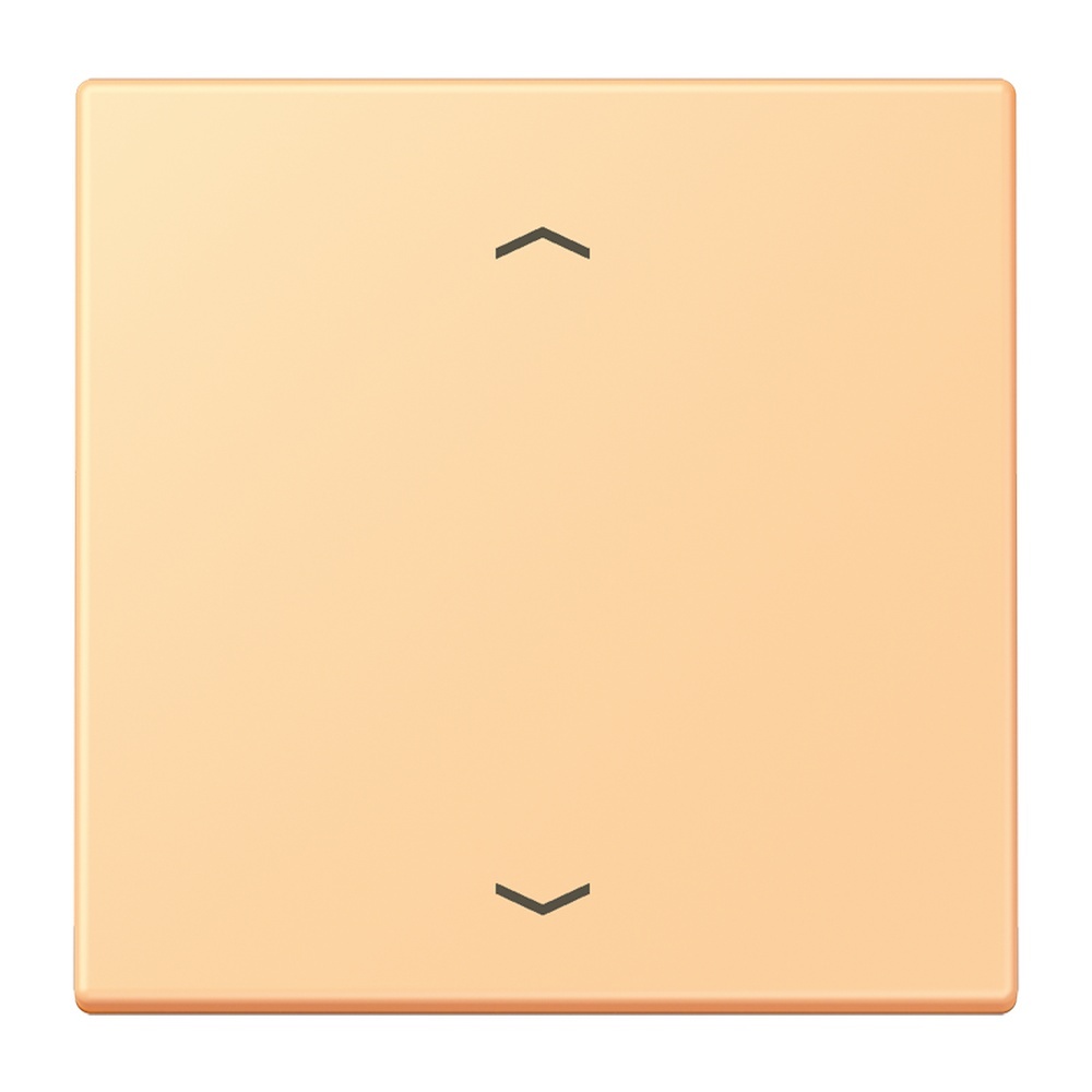 Jung Management Taster 1fach LC1700P258