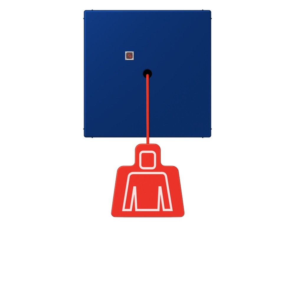 Jung Notrufsystem Zugtaster NRSLC0834ZT261