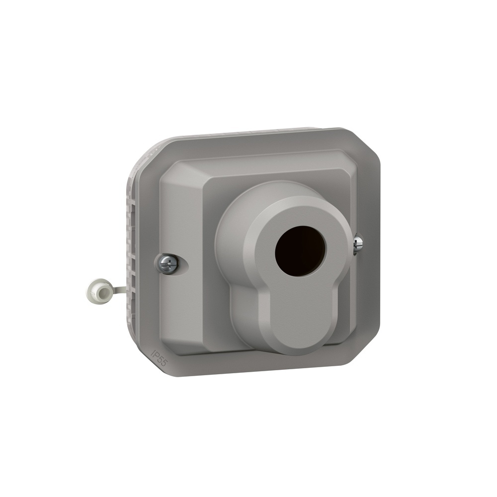 Legrand Schlüsselschalter 069535L