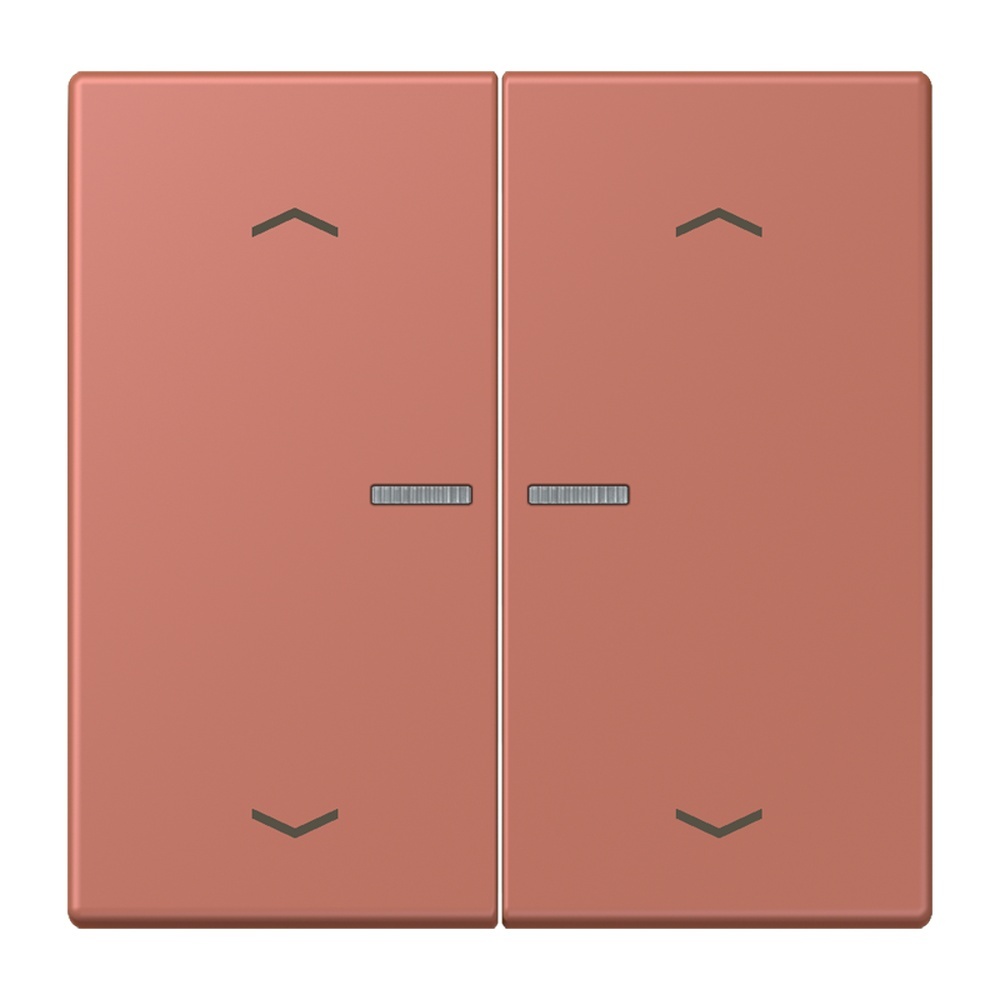 Jung JUNG HOME Taster BTLC17102P236