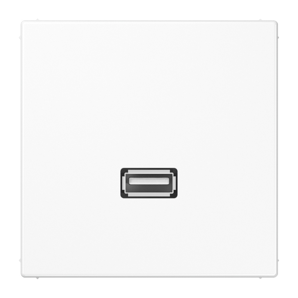 Jung USB Tragring MA LS 1122 WW