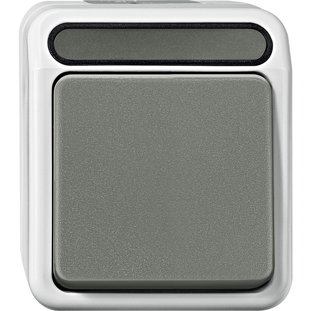 Merten Taster MEG3156-8029