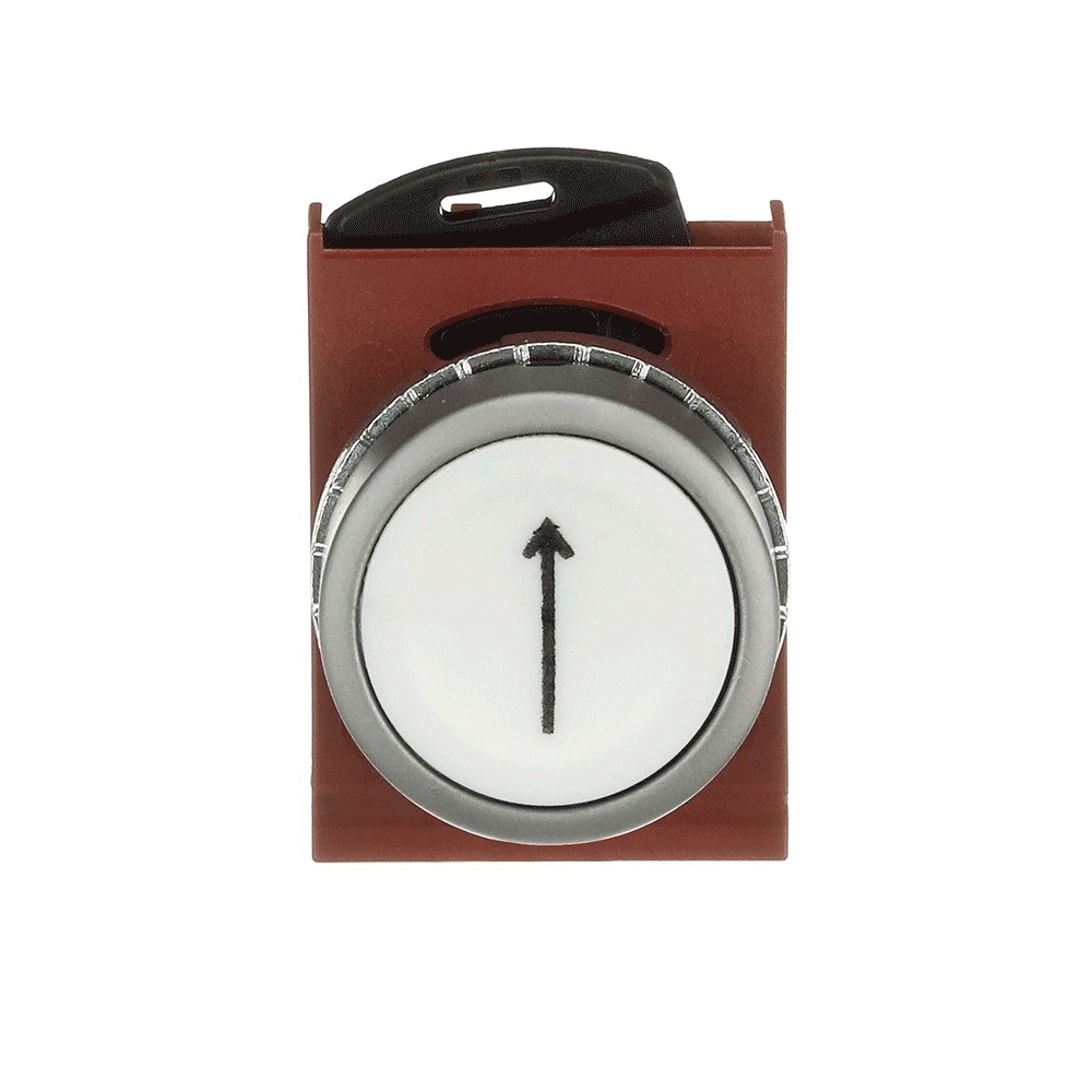 ABB Frontelement für Drucktaster 1SFA187152R9505 Typ P9MPNBG006