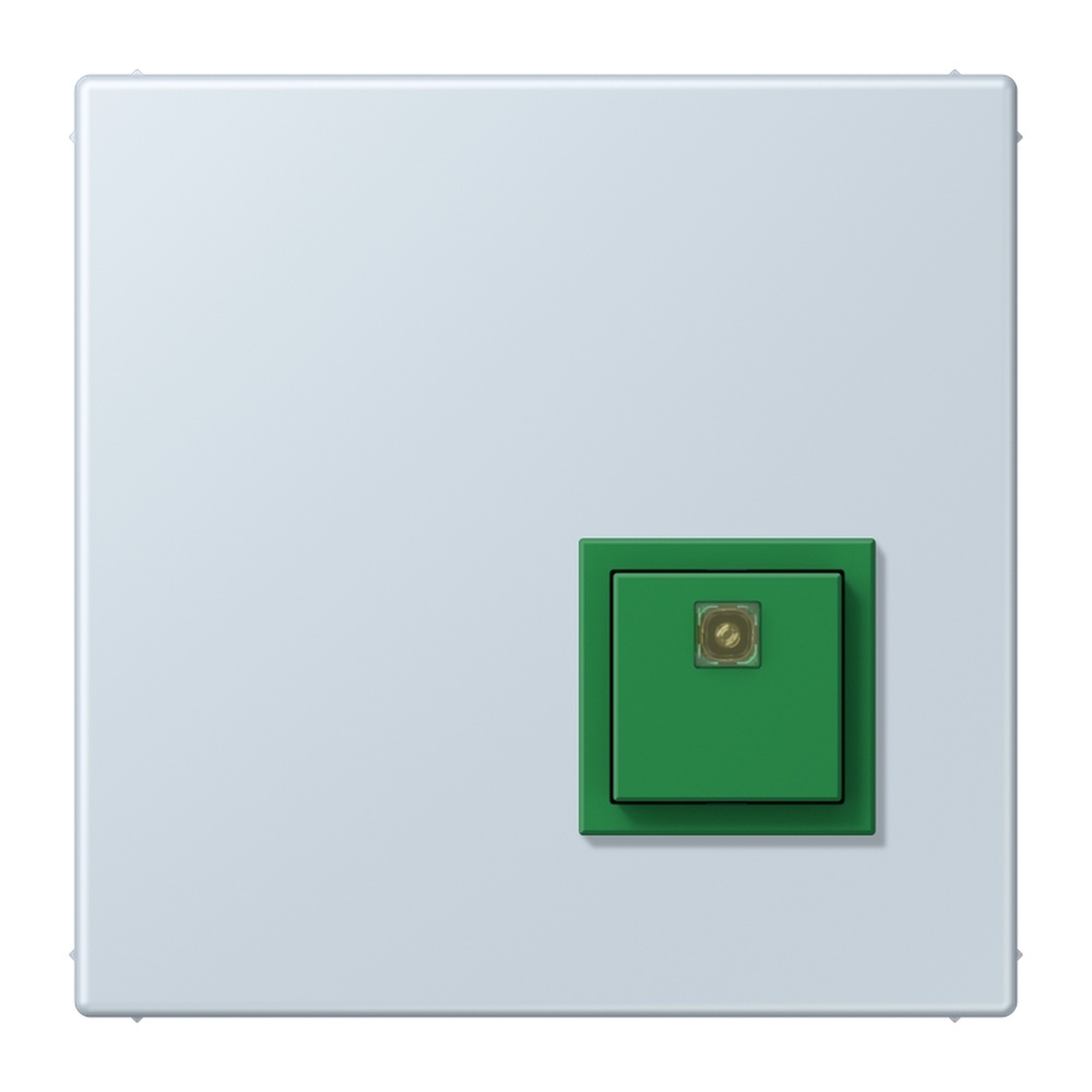 Jung Notrufsystem Abstelltaster NRSLC0834AT209