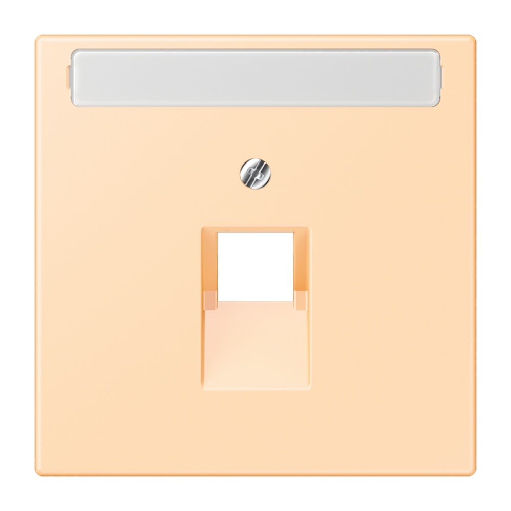 Jung Abdeckung LC969-1NAUA223