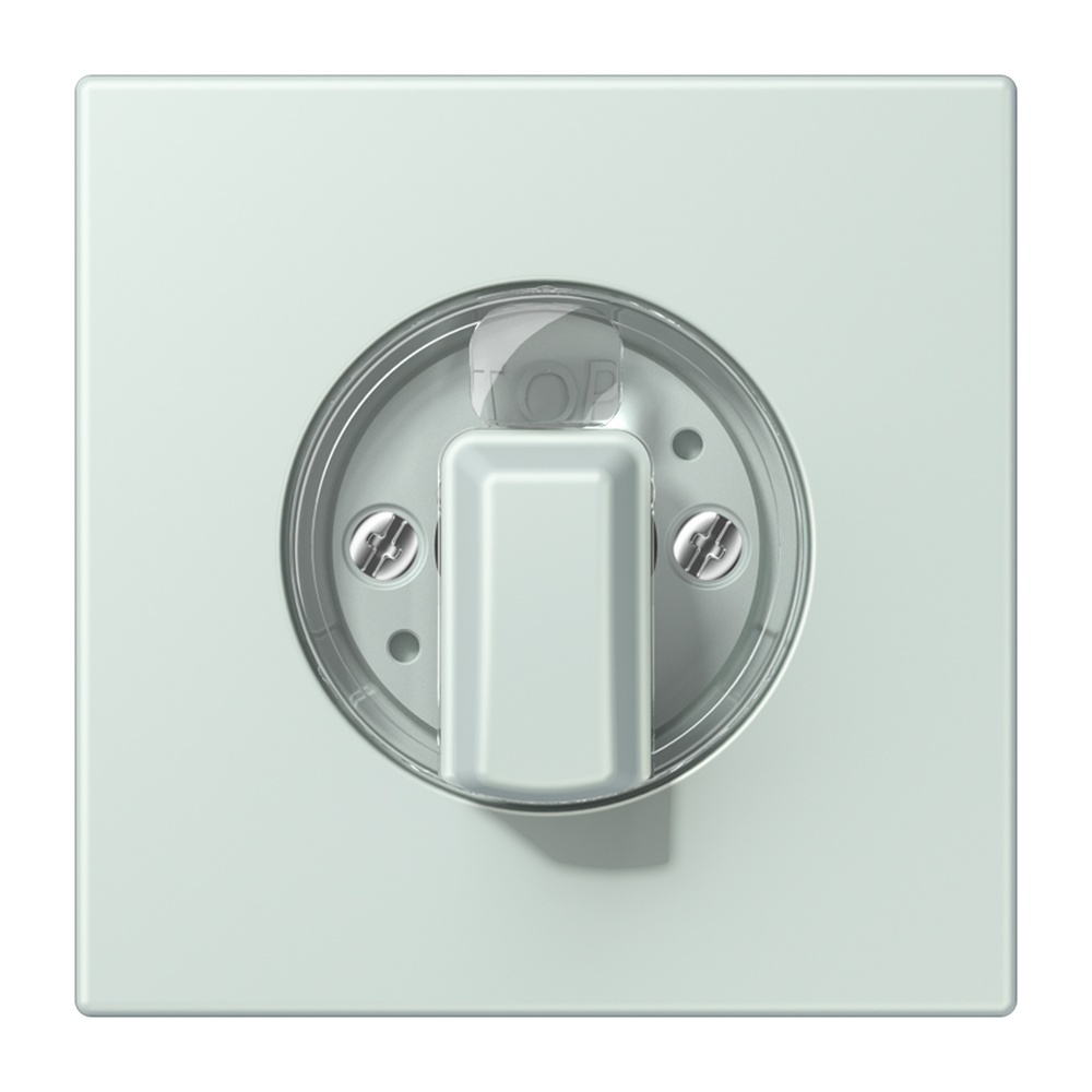 Jung Abdeckung LC1941215