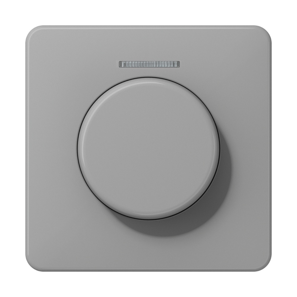 Jung Abdeckung Lichtleiter CD 1540 KO5 GR