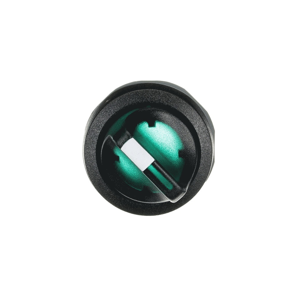 ABB Frontelement für Wahlschalter 1SFA611221R1102 Typ M2SSV2-11G