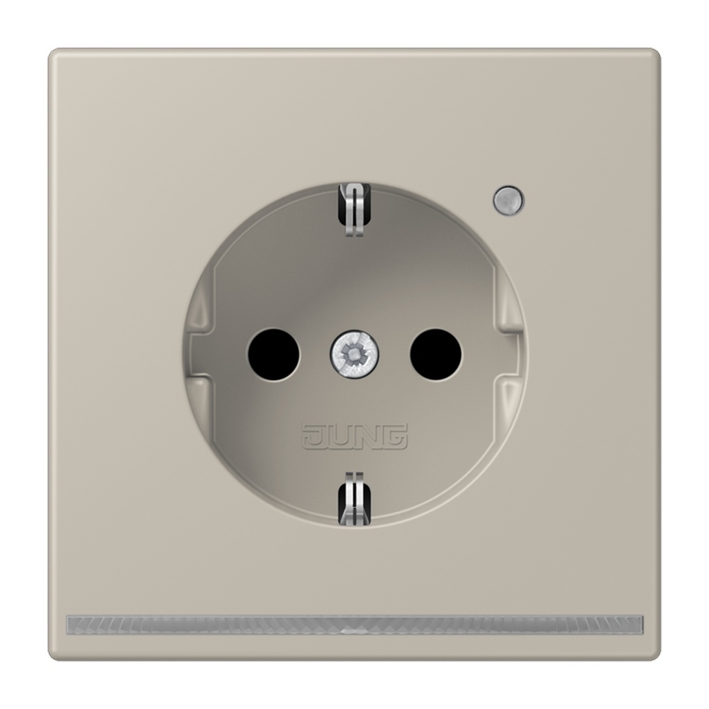 Jung SCHUKO Steckdose ES1520-OLNW
