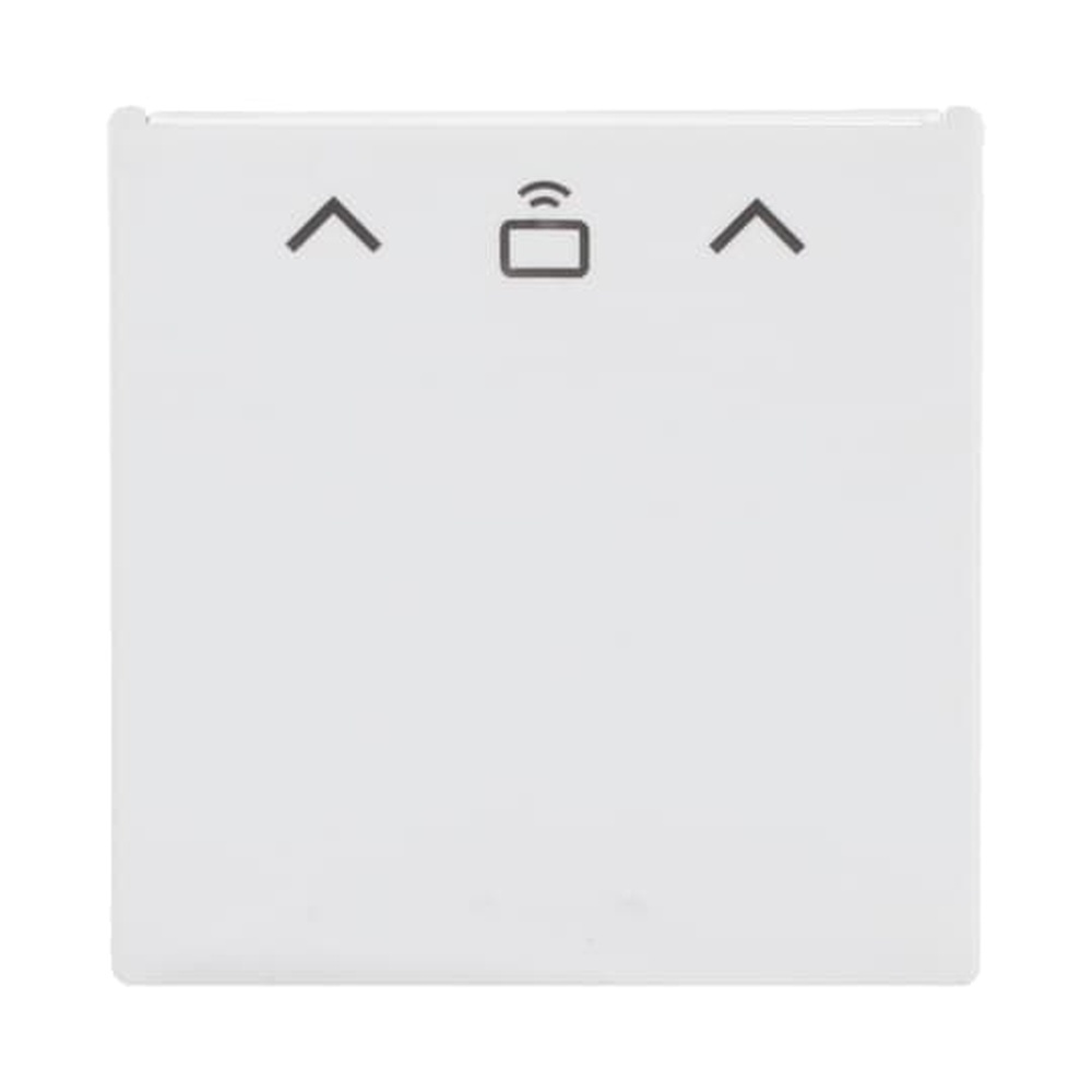 Busch-Jaeger Zentralscheibe Cardschalter 1792 RFID-884 Nr. 2CKA001710A4129