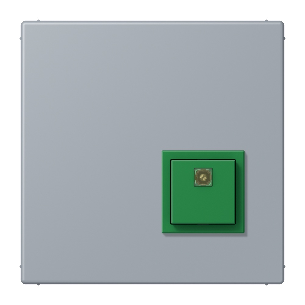 Jung Notrufsystem Abstelltaster NRSLC0834AT257