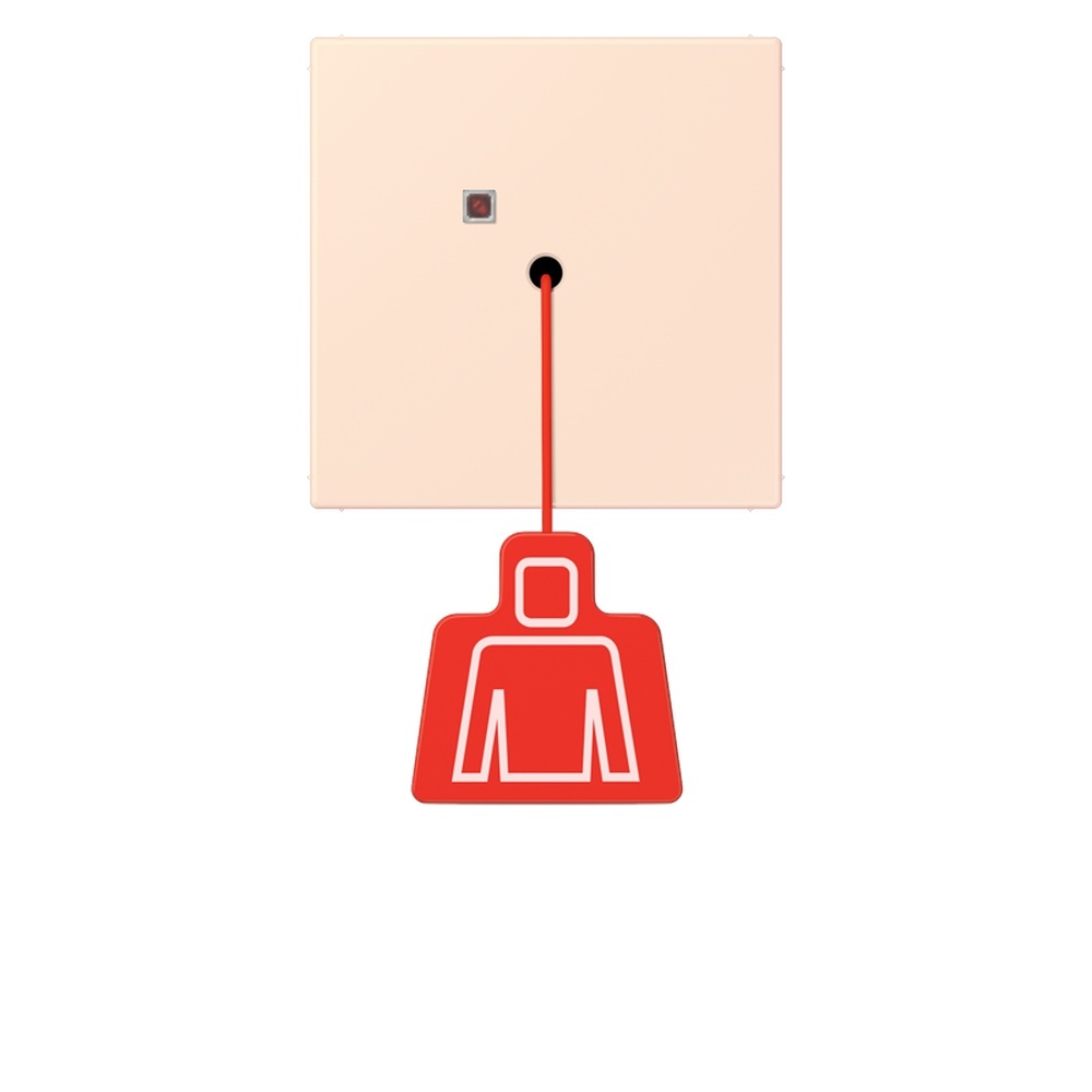 Jung Notrufsystem Zugtaster NRSLC0834ZT226