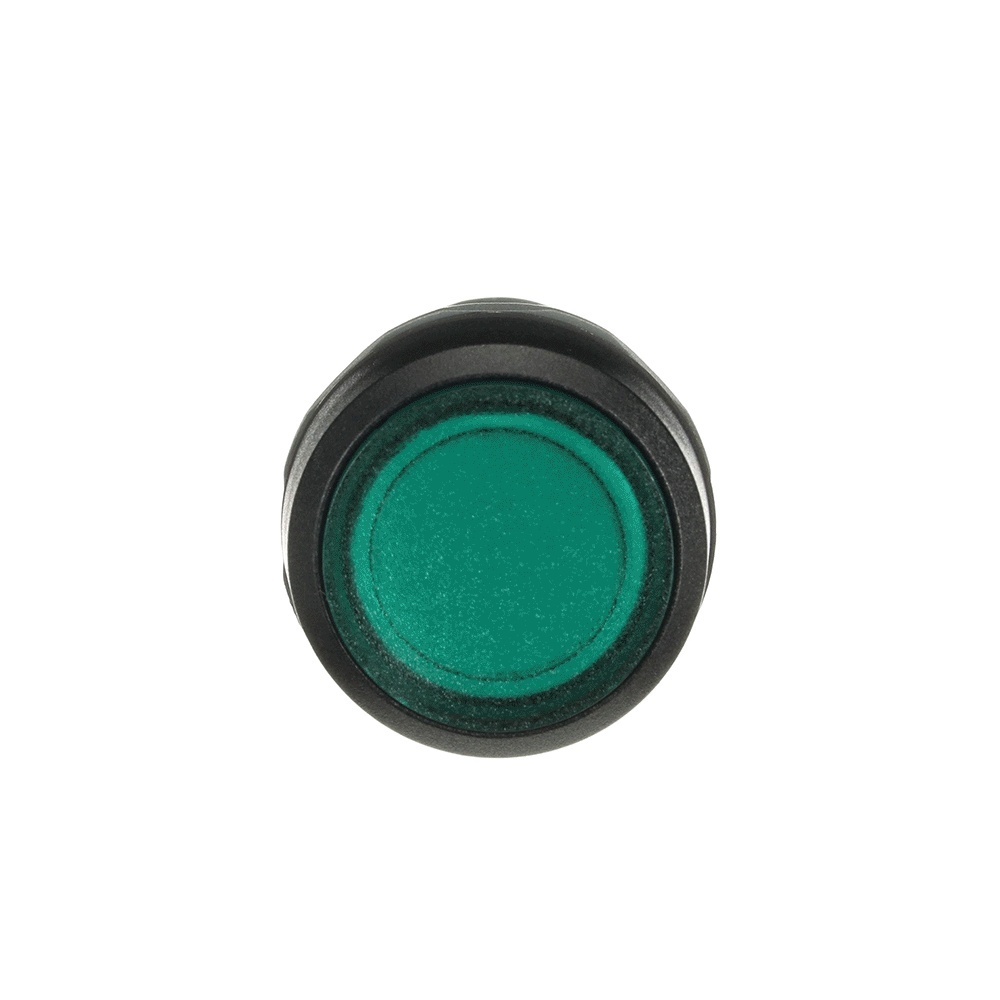 ABB Leuchtdrucktaster 1SFA619101R1312 Typ CP2-13G-10
