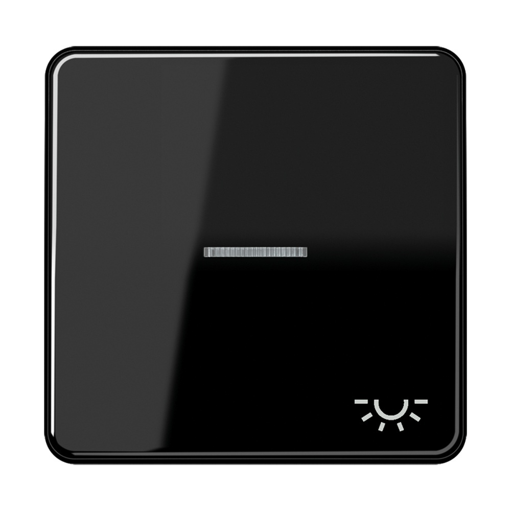 Jung Wippe CD 590 KO5L SW
