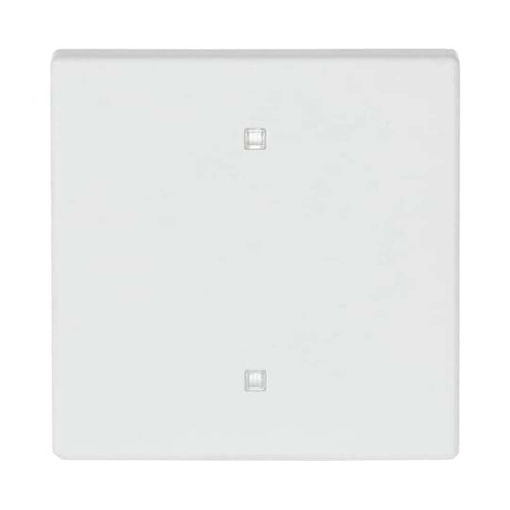 Busch-Jaeger Wippe Elektroniktaster 2570-10-884 Nr. 2CKA001751A3260 Busch-Jaeger Wippe Elektroniktaster 2570-10-884 Nr. 2CKA001751A3260