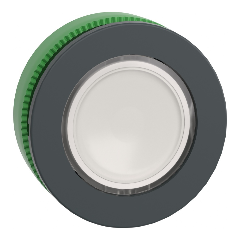 Schneider Electric Frontelement Leuchtdrucktaster ZB5FW313