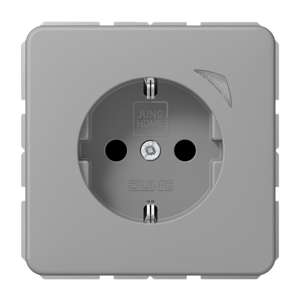 Jung JUNG HOME SCHUKO Steckdose BTCD1521SGR