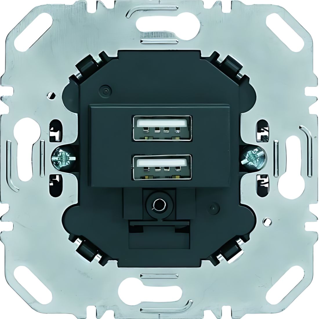 Berker USB Ladesteckdose 260205