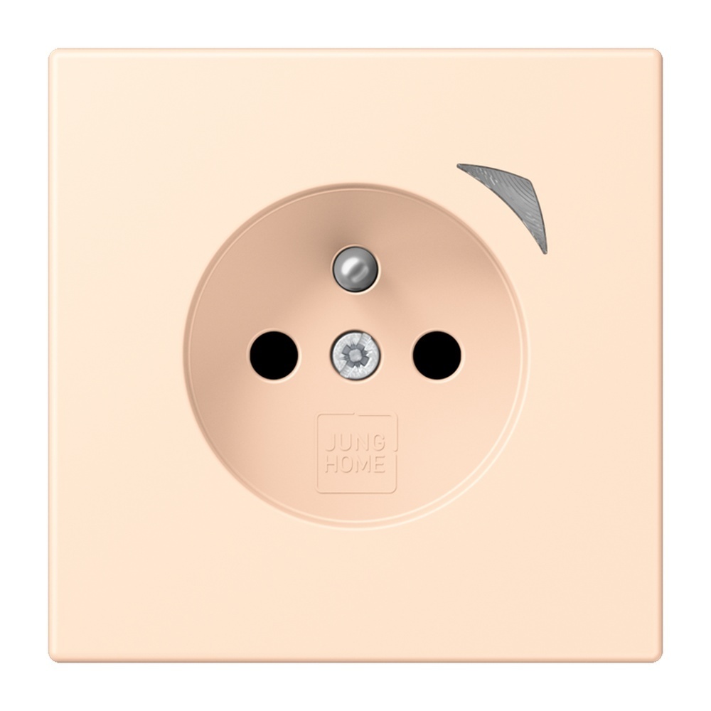 Jung Steckdose BTLC1521FS238