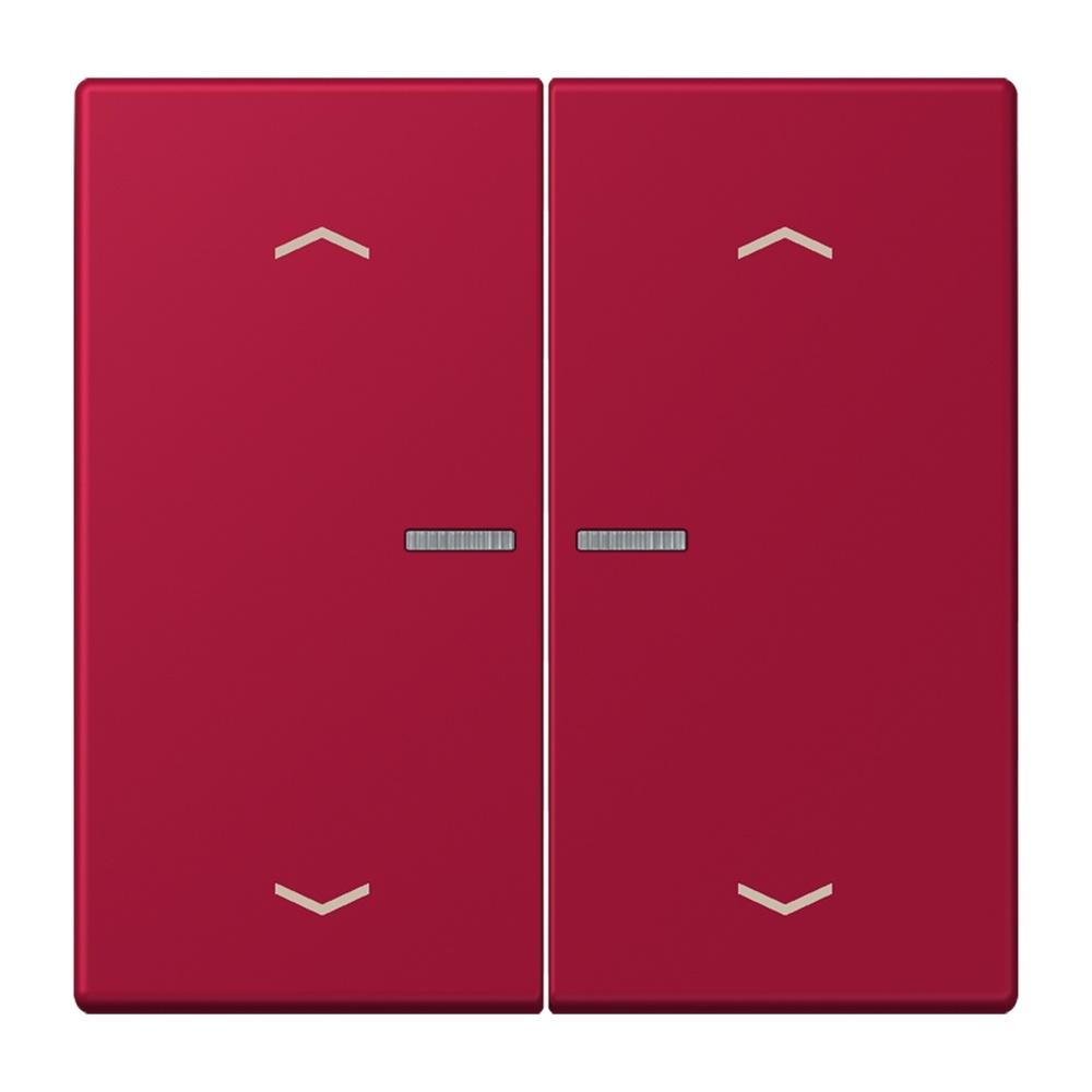 Jung JUNG HOME Taster BTLC17102P229