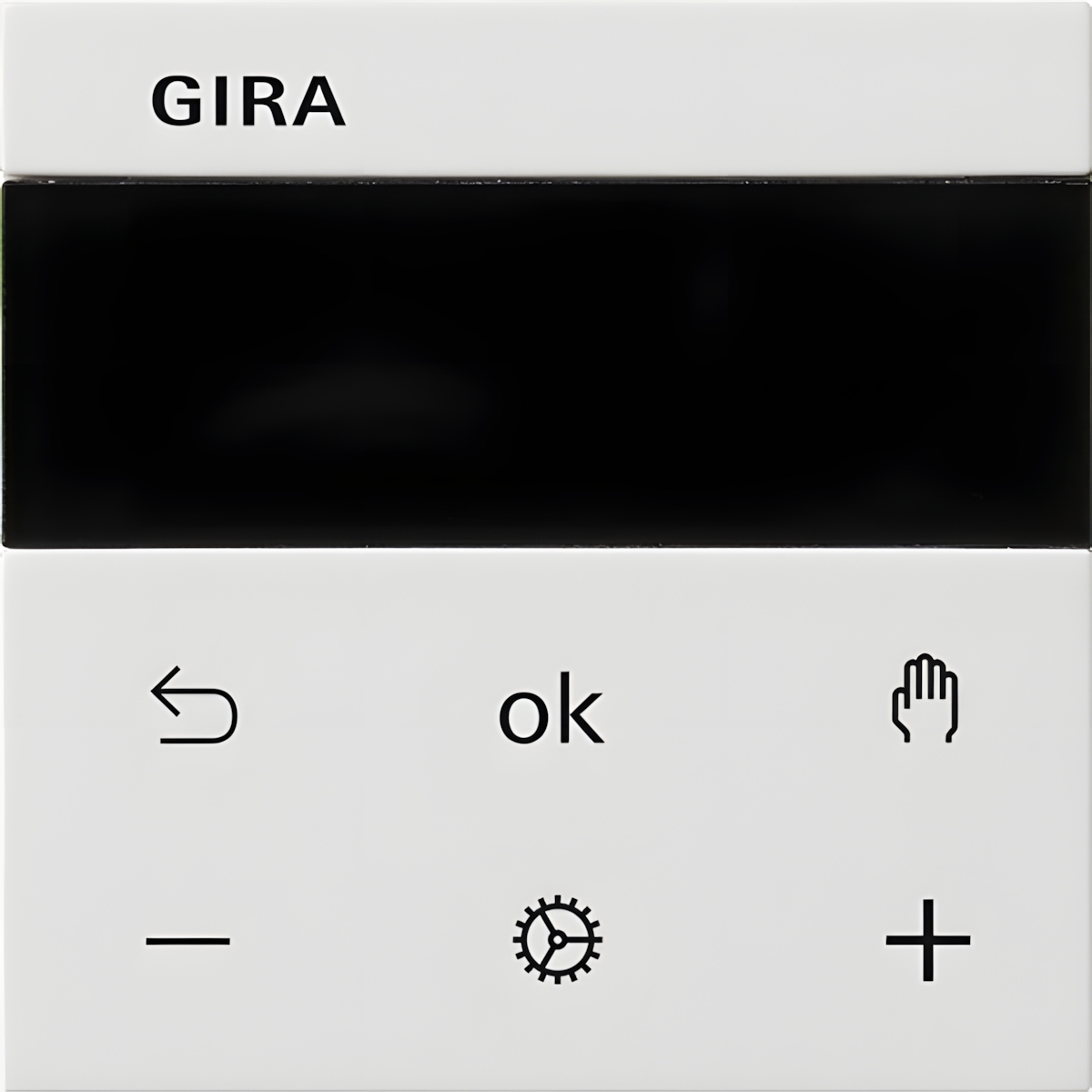 Gira Raumtemperaturregler Display 539303