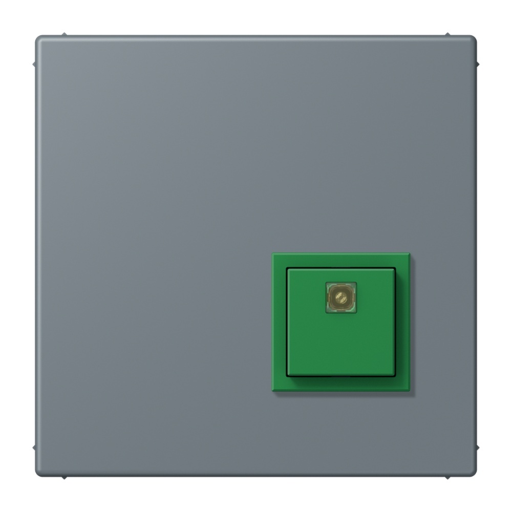 Jung Notrufsystem Abstelltaster NRSLC0834AT251