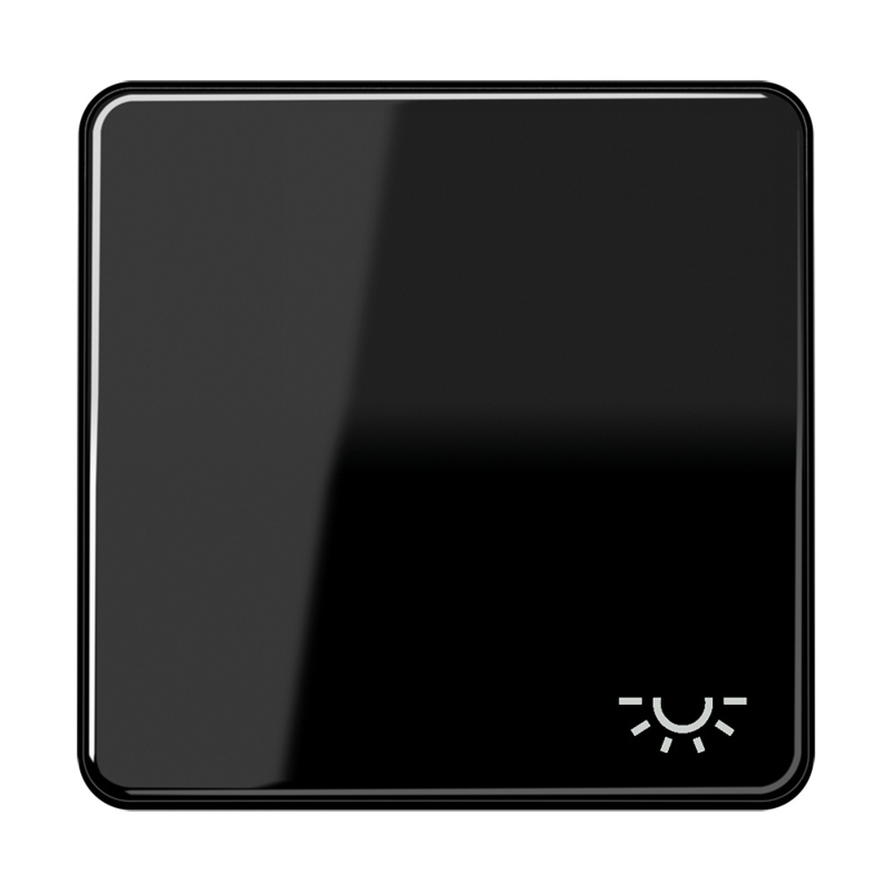Jung Wippe CD 590 L SW