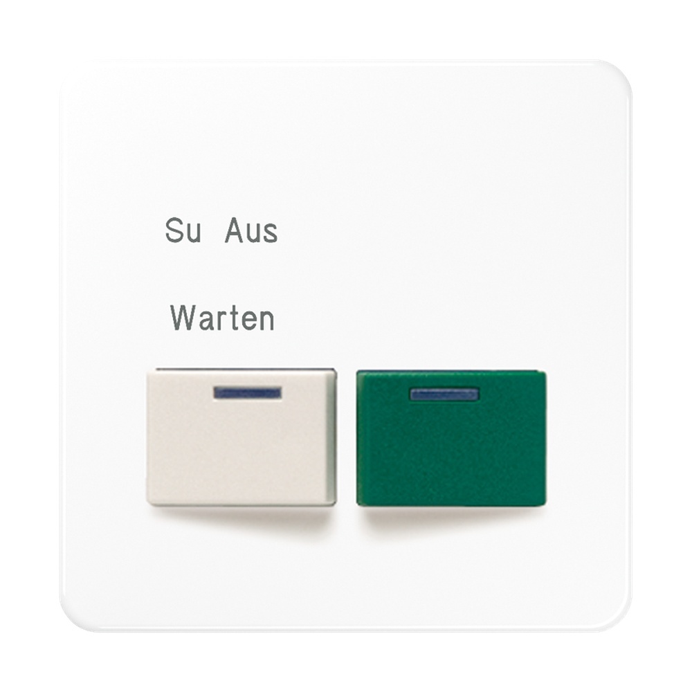 Jung Abdeckung Ackermann CD 642 B-2 WW